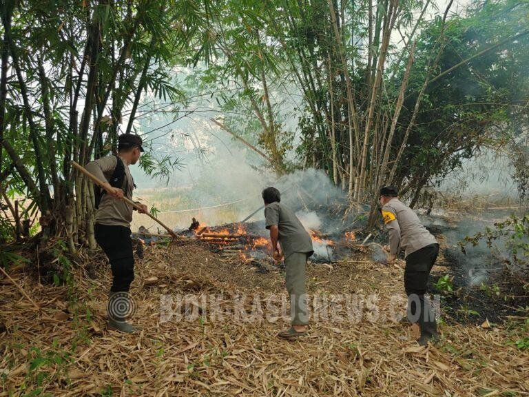 Karhutla di Desa Panawakan HSU Meluas di Sejumlah Titik, Tim Gabungan Berjibaku Padamkan Api