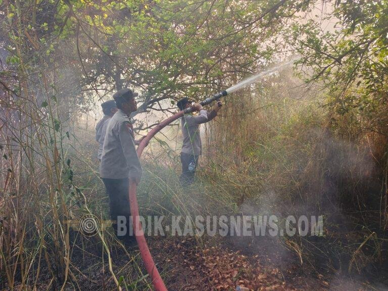 Karhutla di Haur Gading Hanguskan Sekitar 1 Hektare Lahan, Tim Gabungan Bergerak Padamkan Api