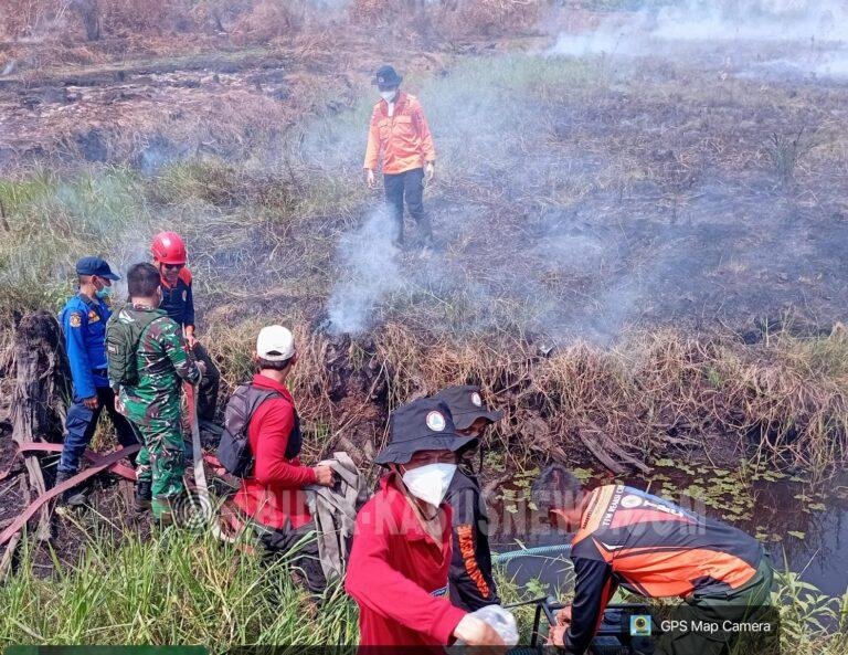Karhutla di Pulau Damar HSU Bakar 1,04 Hektare Lahan Gambut, Tim Gabungan Bergerak Padamkan Api