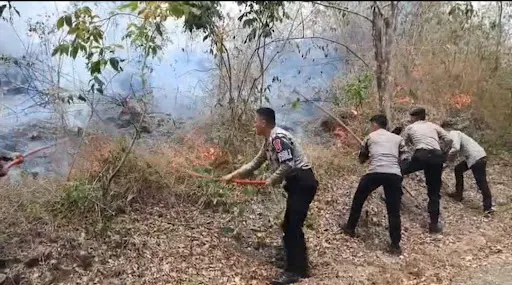 Polres Kuningan Bersama BPBD Gerak Cepat Tangani Kebakaran Hutan DiTaman Nasional Gunung Cerme