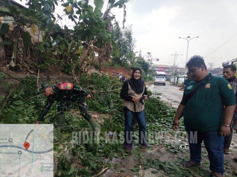 “Pohon Tumbang Timpa Pengendara di Jalan Soekarno-Hatta Bandar Lampung, Babinsa dan BPBD Bergerak Cepat”