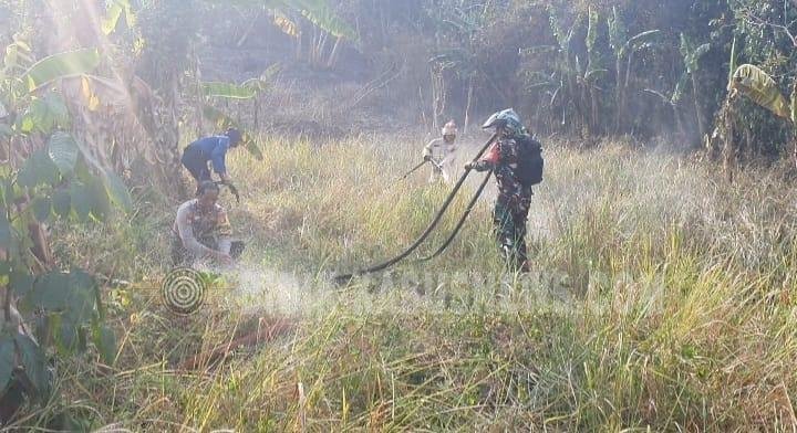 Babinsa dan Damkar Bergerak Cepat, Kebakaran Lahan 4.000 Meter Persegi di Bukit Sepagoh Berhasil Dipadamkan