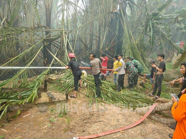 Karhutla di Desa Teluk Daun Amuntai Utara Dipadamkan, Api Sempat Dekati Permukiman Warga