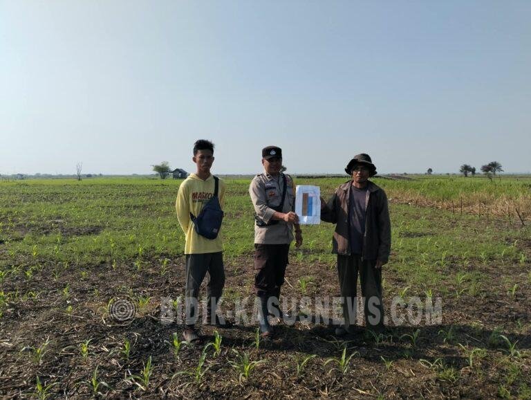 Polsek Babirik Gencarkan Penyuluhan Pertanian Jagung di Desa-Desa, Dorong Petani Tingkatkan Budidaya