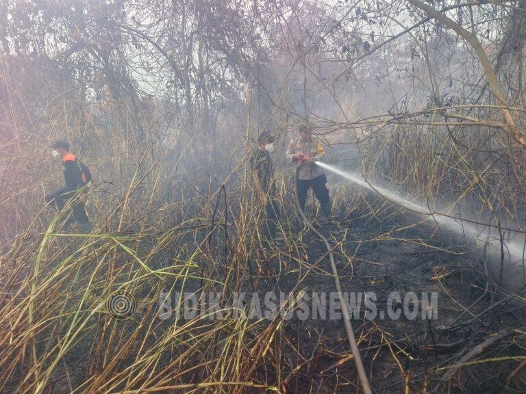Karhutla di Amuntai Utara Hanguskan Sekitar 1 Hektare Lahan, Tim Gabungan Berhasil Padamkan Api