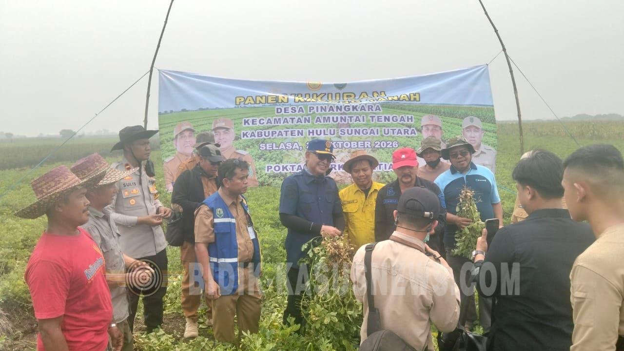 Panen Raya Kacang Tanah di Desa Pinangkara, Polsek Amuntai Tengah Dukung Ketahanan Pangan dan Petani Milenial