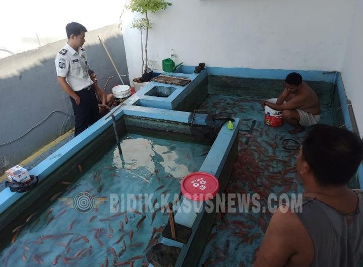 Dukung Ketahanan Pangan, Rutan Jepara Kembangkan Budidaya Ikan