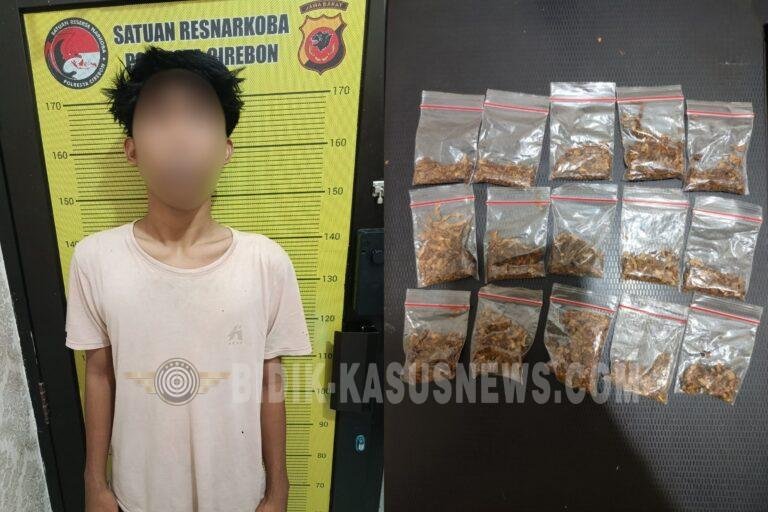 Polresta Cirebon Ungkap Dugaan Peredaran Tembakau Sintetis di Palimanan, 15 Paket Seberat 10,10 Gram Diamankan