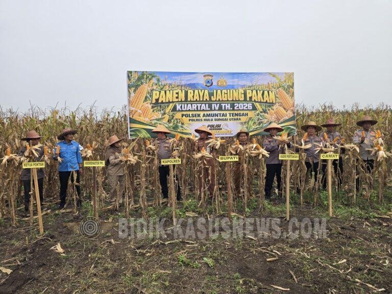 Panen Raya Jagung di Amuntai Tengah, Polres HSU Dukung Swasembada Pangan 2026
